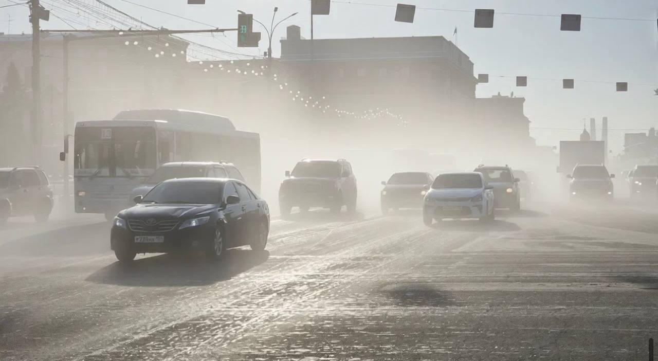 Фото В Новосибирск пришли аномальные морозы: 10 фото, от которых стынет кровь 4